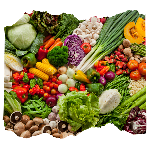 Merchant Exporter In India